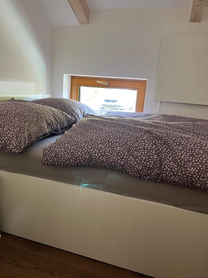 U Kralika, Apartman H, 3 Samostatne Loznice - Mezonet, Vlastni Parkovani, 50 Metru Od Vleku , Vysousece Bot V Lyzarne Dolní Morava Dış mekan fotoğraf