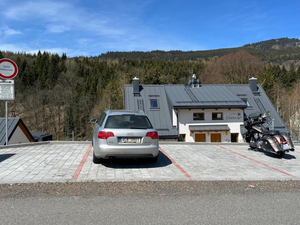 U Kralika, Apartman H, 3 Samostatne Loznice - Mezonet, Vlastni Parkovani, 50 Metru Od Vleku , Vysousece Bot V Lyzarne Dolní Morava Dış mekan fotoğraf
